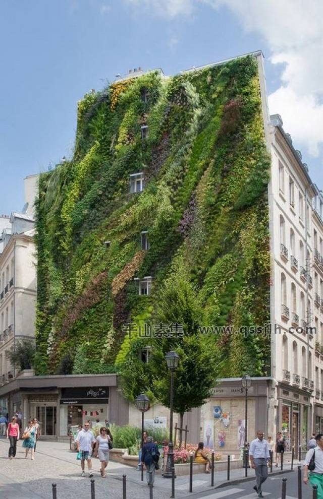 垂直绿化花园 让大自然的美丽在城市中常驻