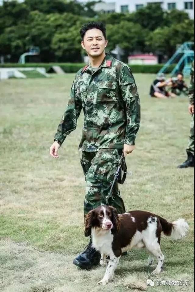 综艺| 《奇兵神犬》首播收视第一 兵犬情深看哭观众