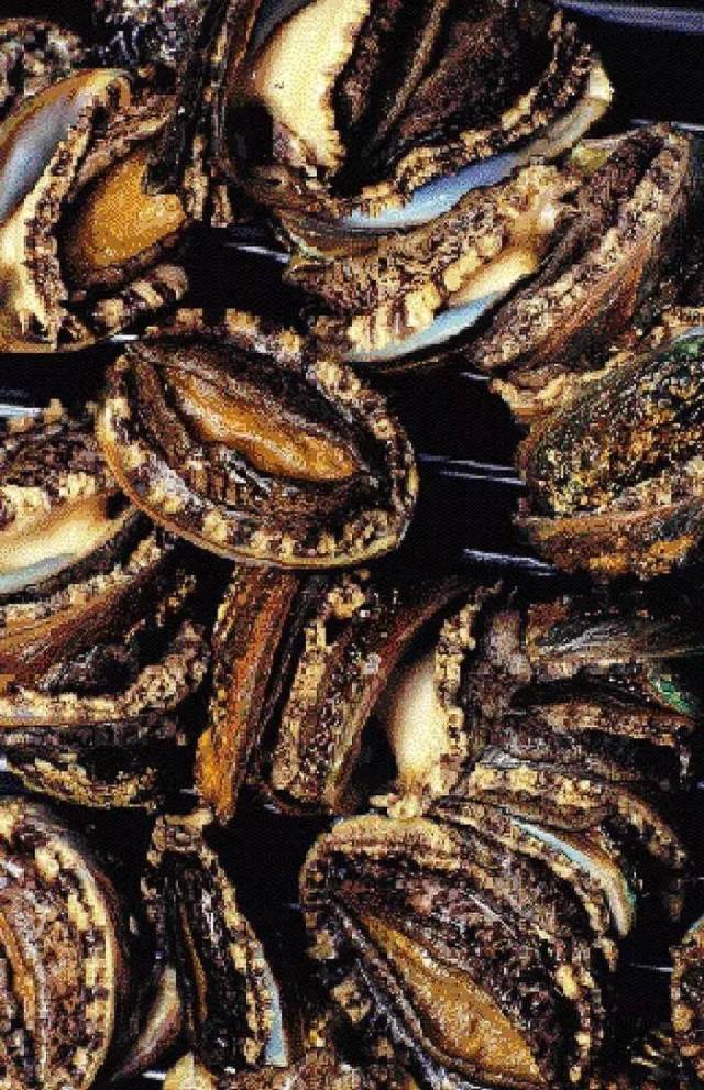 相声贯口绝活儿《报菜名》里的稀罕菜,你吃过