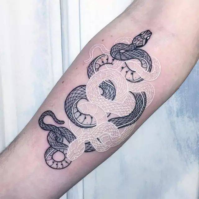 蛇形| tattoo