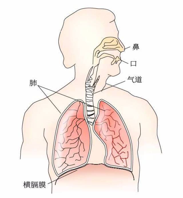 3个技巧帮你在冷风中hold住呼吸