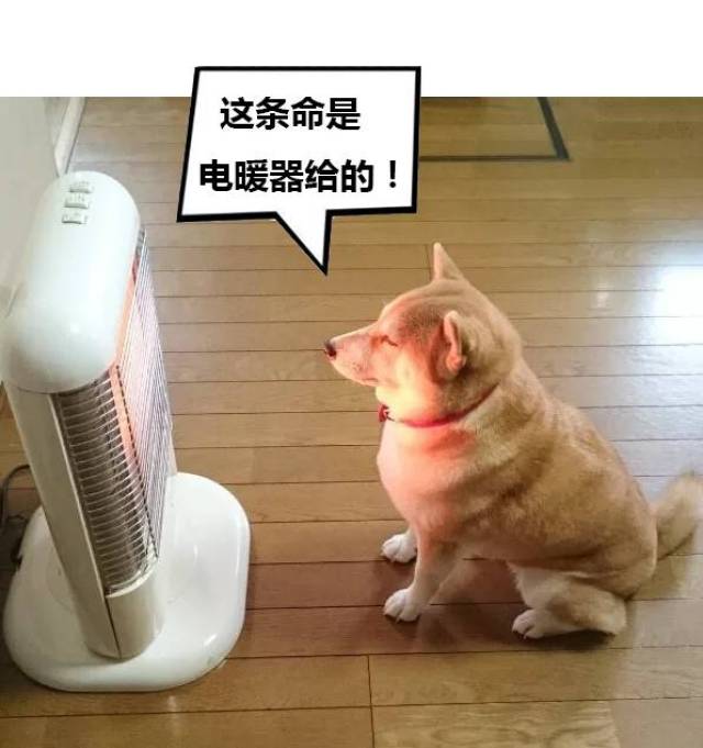 整日抱着取暖器过活