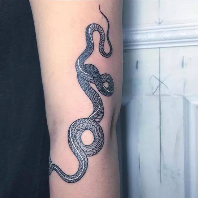 蛇形| tattoo