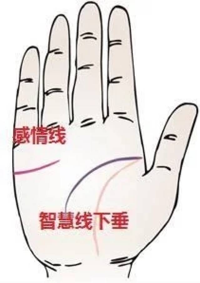 手相桃花运旺盛手相5个特点可以看出