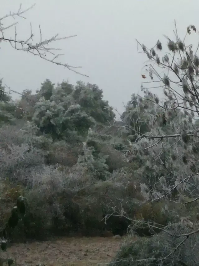 还差一半就登上山顶了,站在龙泉山看风景多美,一眼观赏丹寨城市,美丽