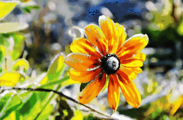 墨石公园看什么,文章告诉你
