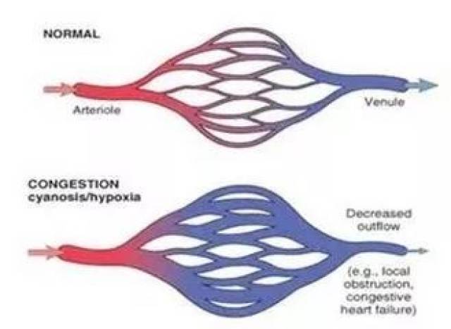 e2c7af96b1704146a19935e89ce63f6b.jpeg