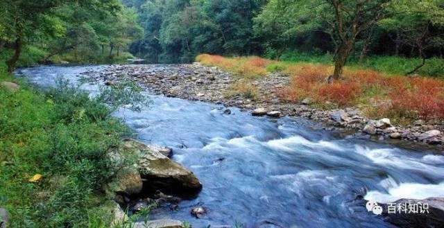 金童山国家级自然保护区,两江峡谷国家森林公园,白云湖国家湿地公园4