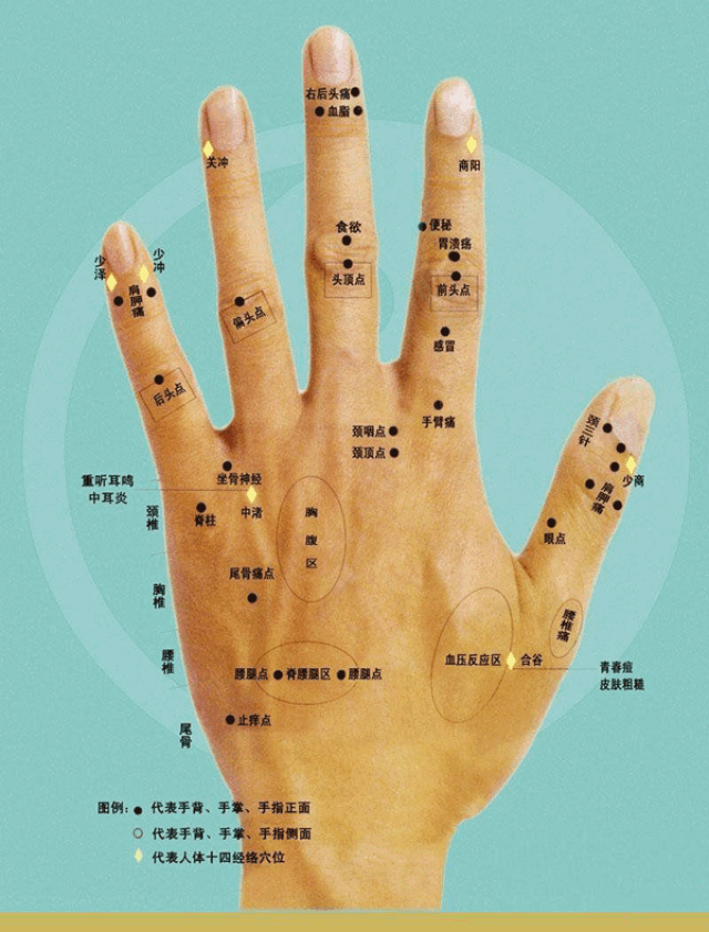 中指代表自己,无名指代表配偶,小指代表子息,因此拇指有痣或食指上有