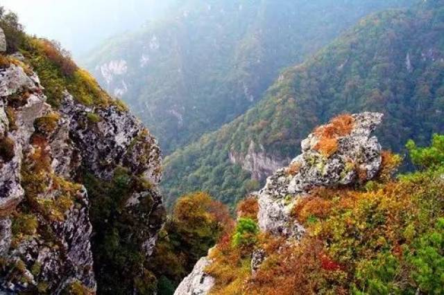 到达柞水县汽车客运站后乘坐柞水至牛背梁景区公交车直达景区