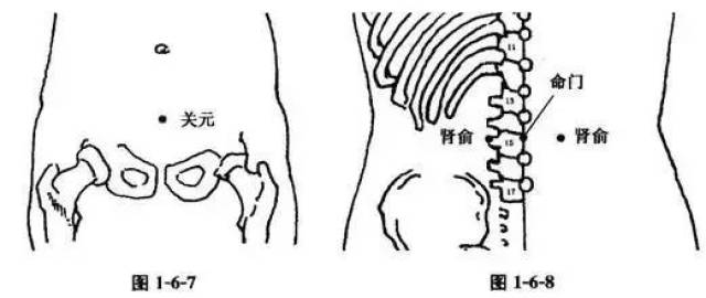 1,艾灸取穴:关元,气海,命门,肾俞,足三里,三阴交