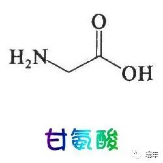 氨基酸家族连载八61甘氨酸