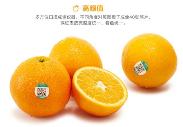96a8c9bce0df4a30b84b96865f941988.jpeg
