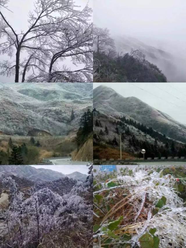 "下雪"了(附广西十大赏雪地)_手机搜狐网