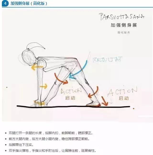 艾扬格瑜伽手绘体式(珍藏版)