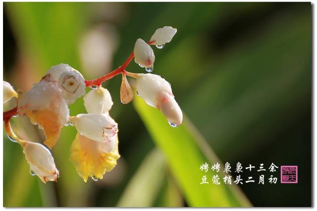 什么如花似玉倾国倾城,在杜牧这首写少女之美的诗歌前