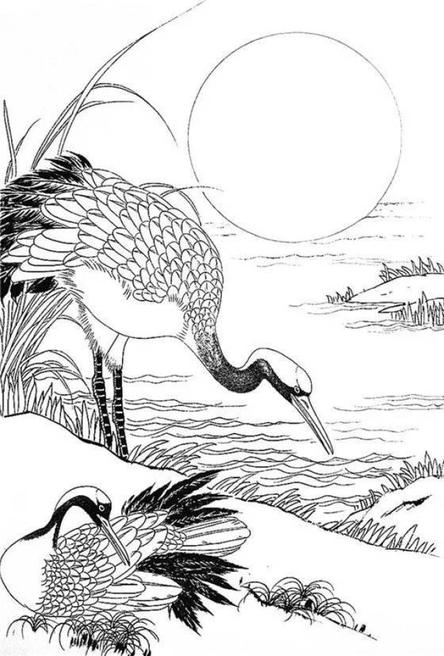 最全的白描花鸟(仙鹤篇)