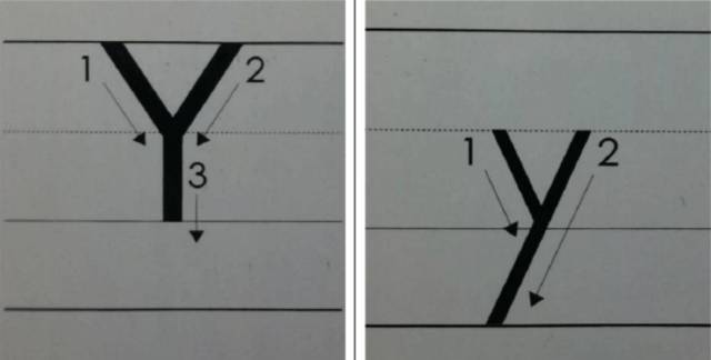 (1)应按照字母的笔顺和字母在三格中应占的位置书写