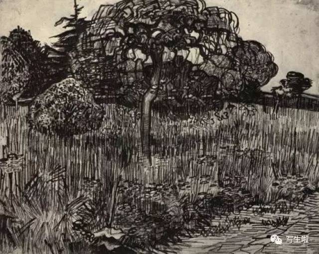 【干货】梵高,西斯金,门采尔的素描风景作品