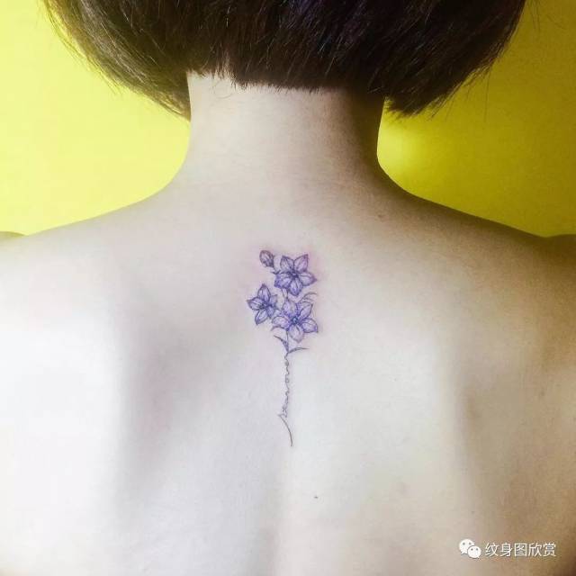 植物纹身 - 桔梗花纹身图片