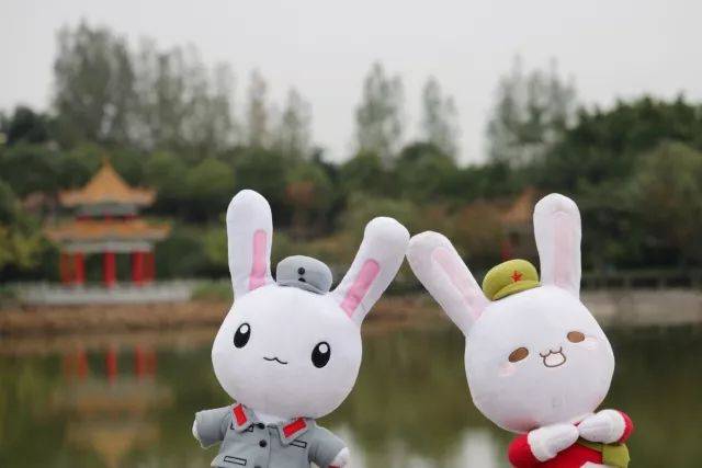听说西政最近有团团兔和萱萱兔出没!你偶遇了吗?