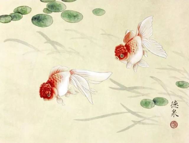 清新素雅|张德泉工笔花鸟画(110幅)