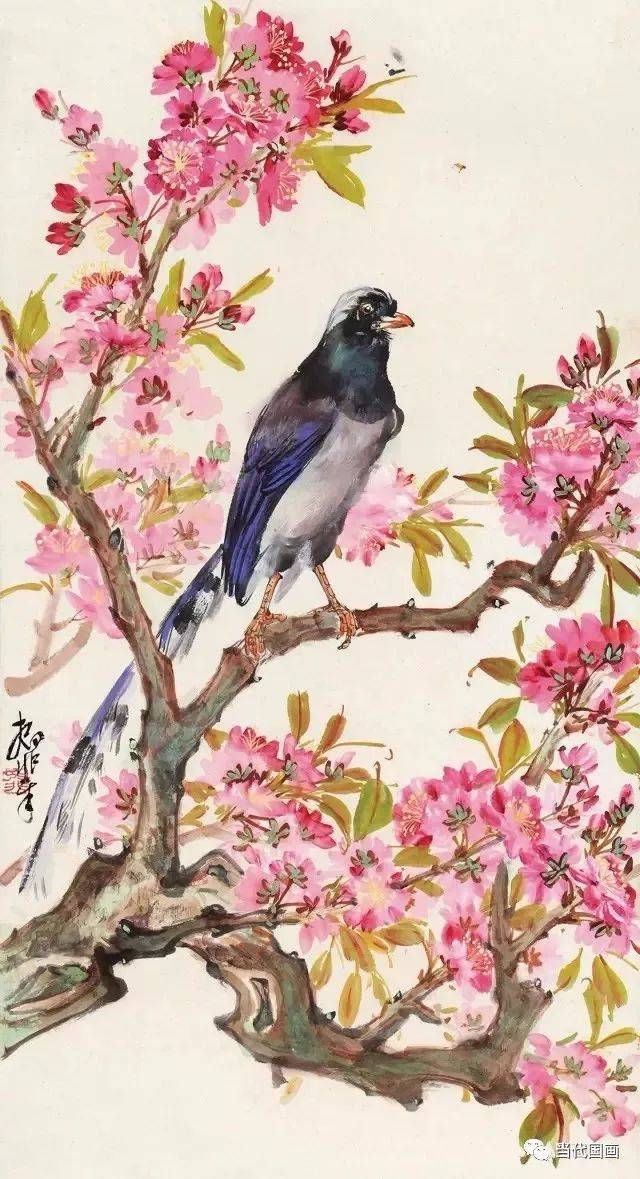 名家画桃花,徐湛画桃花,画写意梅花(第10页)_大山谷图库