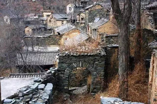 欣益通贸易：行业动态前瞻与机遇