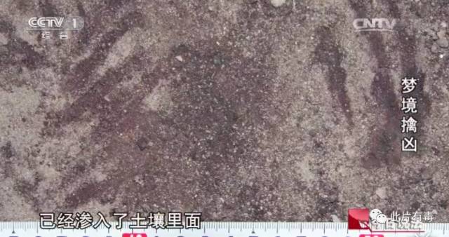 撒贝宁时间:烟锁殡仪馆、梦境擒凶、行李箱碎