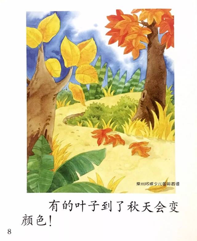 【阅读漂流】中班绘本课《植物的叶子》