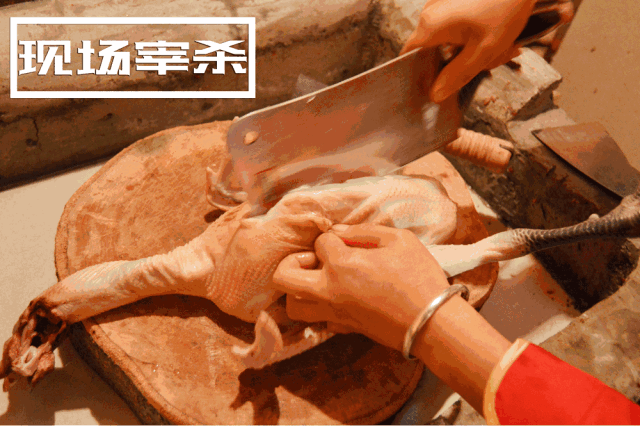 安顺老农民罗氏柴火鸡开抢啦!_手机搜狐网
