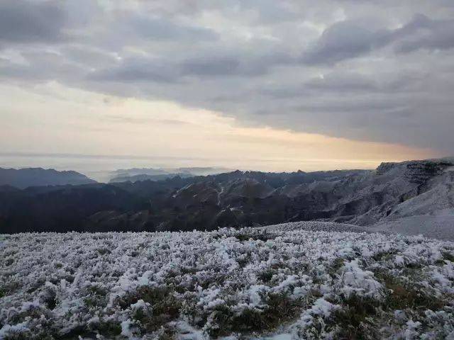 毕节的雪景,我只服赫章韭菜坪,美丽惊艳世界!