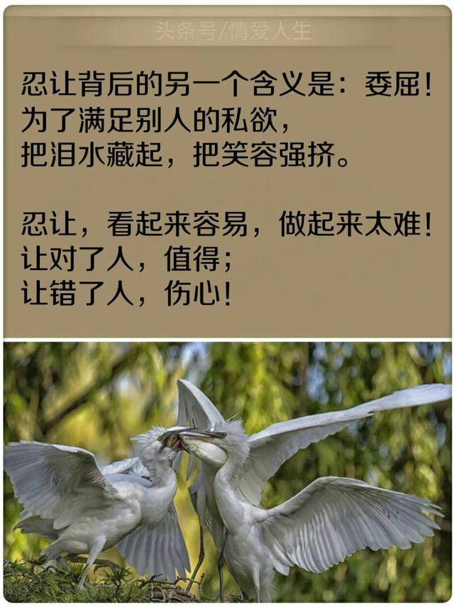 别把我的忍让当成应该,我不怕你什么,不欠你什么,不图