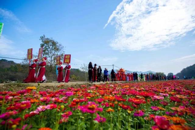 首届中国·常山国际慢城花海旅游节盛大开幕!(内附海量花海现场图)