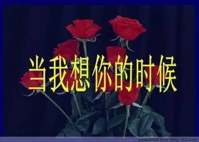 刚出的一首新歌《痛过心的爱情》好听哭了,送给想我的