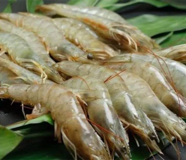 1斤青虾,4两虾丁;自制鲜虾滑!
