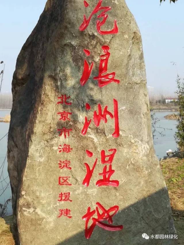 神秘新景现身沧浪洲湿地公园,丹江口人赶紧去看看吧!