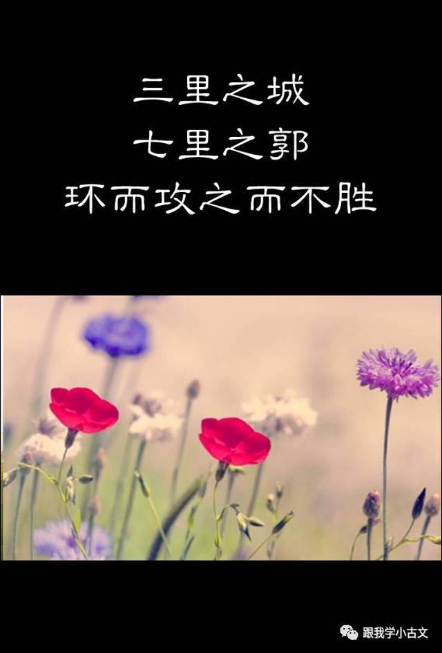 【跟我读小古文】75.得道者多助