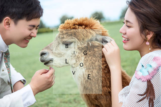 旅拍婚纱照哪个城市好 推荐这五座城市