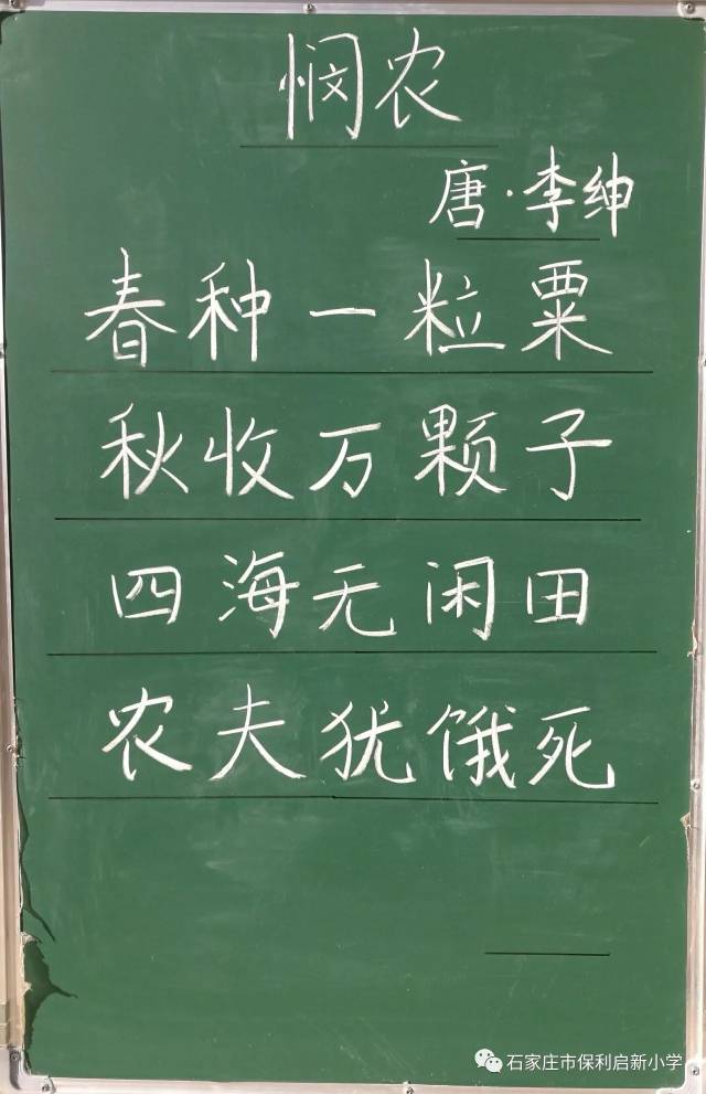 夯实基础 妙"笔"生花——记教师粉笔字大赛