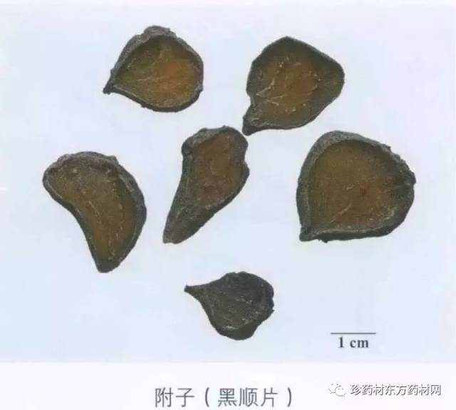 附子,熟附子,侧子,乌附子,乌附块,黑顺片,黑附子,明附片,熟附片.