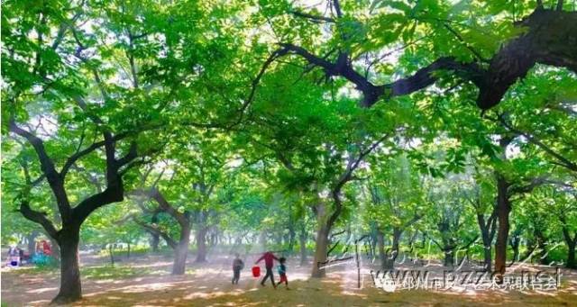 邳州网友改编《我们不一样》唱邳州美景,大赞