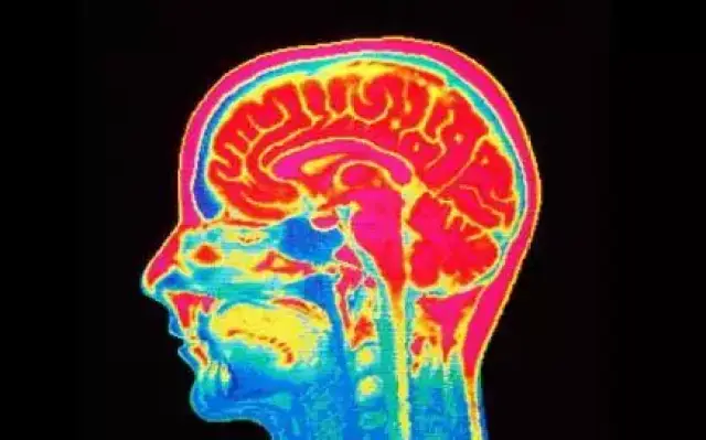 恋童癖是病还是恶趣味,可以治愈吗?