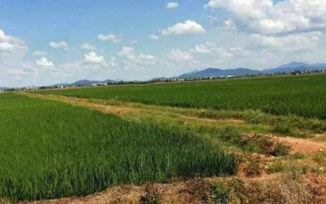 澳洲土地多少钱1亩 3b19e071cd344f72a390845a50f672eb.jpeg