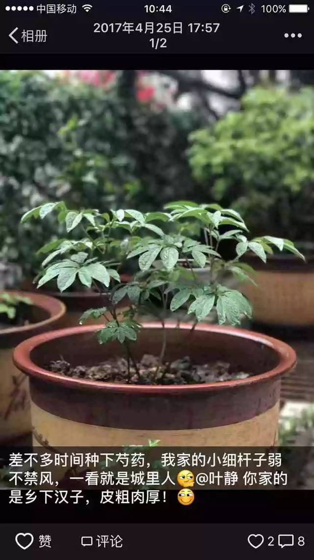 禾佳：主播的“朋友圈”