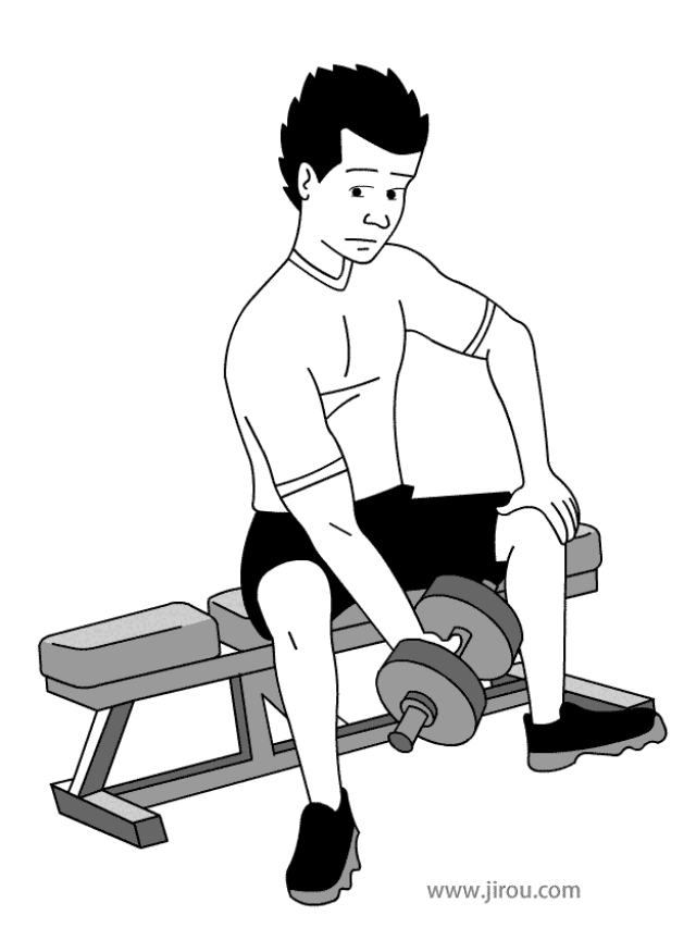 手臂训练健身动作示范大全(gif)