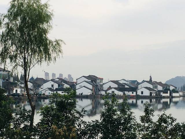 【绍兴·图说】十里湖塘