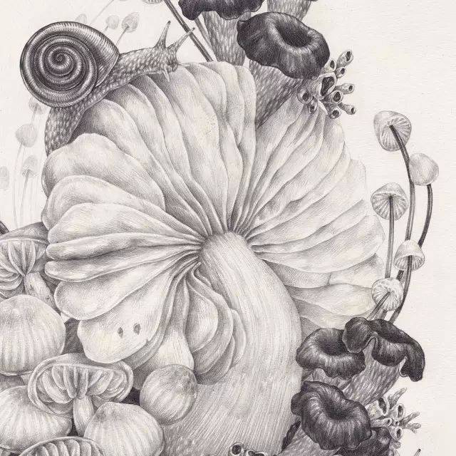 一组超细腻的美术素描作品,简直震撼人心!