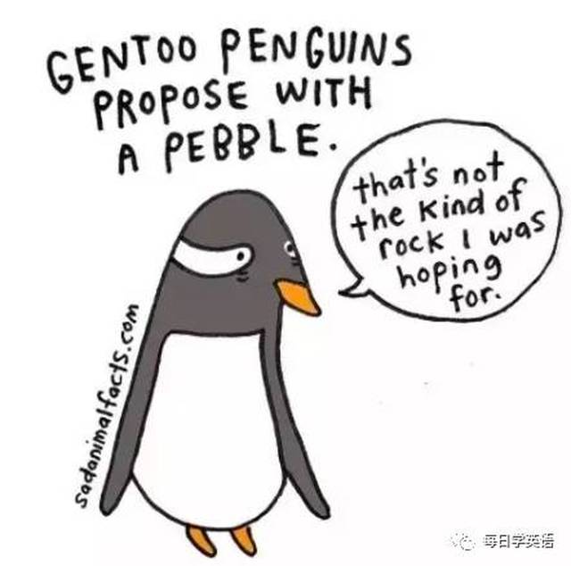 Is it Legal to Have a Pet Penguin: A Comprehensive Guide