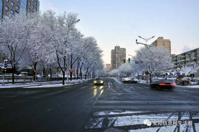 今年冬天安阳的第一场雪,终于要来了.